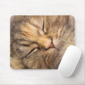 Persische Katze schlafend Mousepad (Mit Mouse)