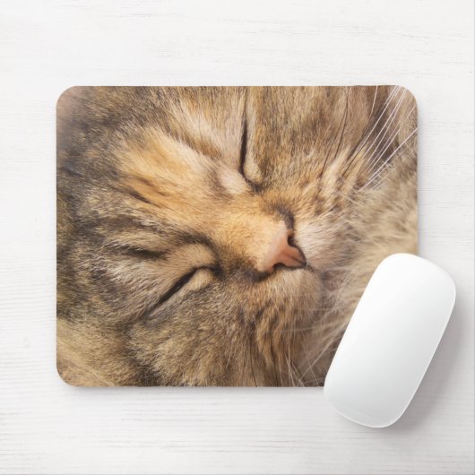 Persische Katze schlafend Mousepad (Mit Mouse)
