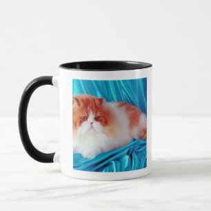 Persische Katze Tasse