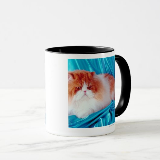 Persische Katze Tasse (VorderseiteRechts)