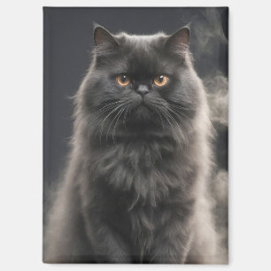 Persische Katze Tier Elegantes Dramatisches Portra Magnet