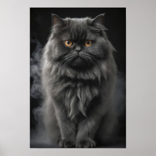 Persische Katze Tier Elegantes Dramatisches Portra Poster