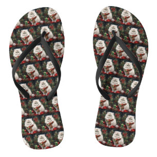 Persische Katze zu Schnee Weihnachten Badesandalen