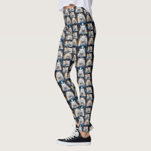 Persische Katzen, die Diamanten-FotoCollage tragen Leggings