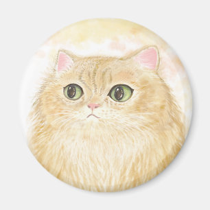 Persische Katzen-Illustrationsmagnete Magnet