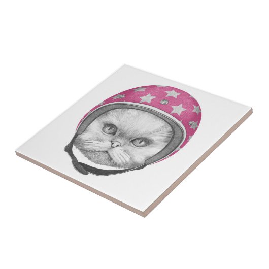 Persische Katzen-Motorrad-Reiter Fliese (Seite)