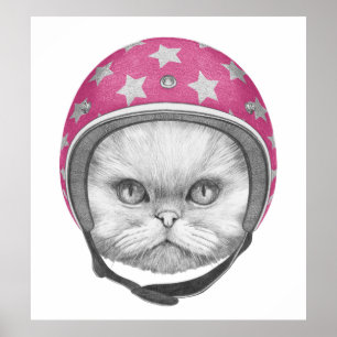 Persische Katzen-Motorrad-Reiter Poster