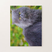 Persische Katzen. Puzzle (Vertikal)