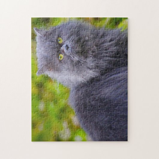 Persische Katzen. Puzzle (Vertikal)