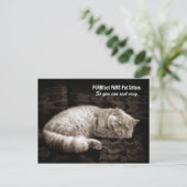 Persische Katzen Schlafen in Sepia Tones Pet Sitte Postkarte (Stehend Vorderseite)