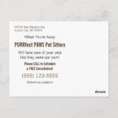 Persische Katzen Schlafen in Sepia Tones Pet Sitte Postkarte (Rückseite)