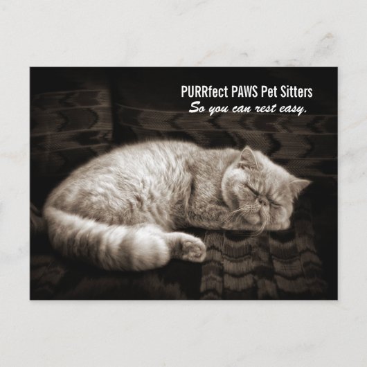 Persische Katzen Schlafen in Sepia Tones Pet Sitte Postkarte (Vorderseite)