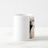 Persische Katzen-Tasse Kaffeetasse (Mittel)