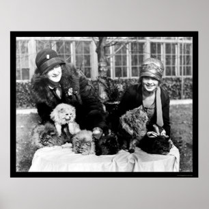 Persische Katzen und amerikanische Damen 1924 Poster