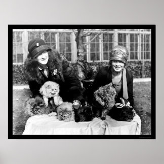 Persische Katzen und amerikanische Ladys 1924 Poster