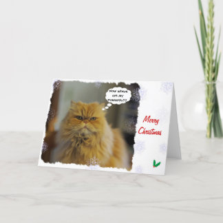 Persische Katzen-Weihnachtskarte Feiertagskarte