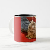 Persische Kitty-Tasse Zweifarbige Tasse (Vorderseite Links)