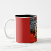 Persische Kitty-Tasse Zweifarbige Tasse (Links)