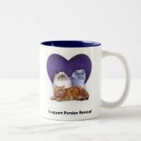 Persische Rettungs-Tasse