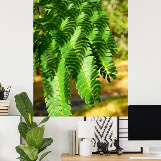 Persische Seidenbaum-Blätter Poster (Heimbüro)