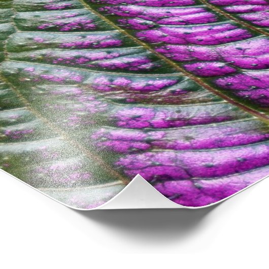 Persischer Schild (Ecke)