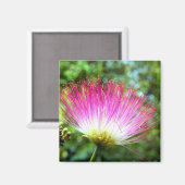 Persischer Seidenbaum-Blume Magnet (Vorderseite/Rückseite)