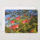 Persischer Seidenbaum Feiertagskarte (Vorderseite)