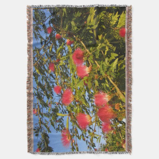 Persischer Seidenbaum-Krustenwurzel Decke (Vorderseite Vertikal)