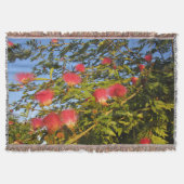 Persischer Seidenbaum-Krustenwurzel Decke (Vorderseite)