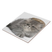 Persisches Kätzchen (2 Monate alte) ein Stroh Fliese (Seite)