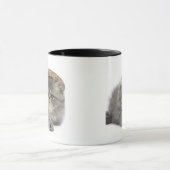 Persisches Kätzchen (2 Monate alte) ein Stroh Tasse (Zentrum)