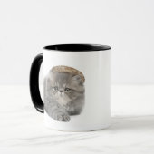 Persisches Kätzchen (2 Monate alte) ein Stroh Tasse (Vorderseite Links)