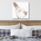 Persisches Kätzchen (3 Monate alt) Leinwanddruck (Insitu (Schlafzimmer))
