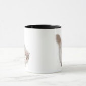 Persisches Kätzchen (3 Monate alte) Tasse (Zentrum)