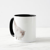 Persisches Kätzchen (3 Monate alte) Tasse (Vorderseite Links)