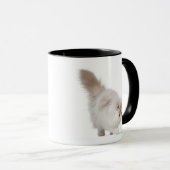 Persisches Kätzchen (3 Monate alte) Tasse (VorderseiteRechts)