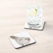 Persisches Kätzchen (3 Monate alte) Untersetzer (Rechte Seite)