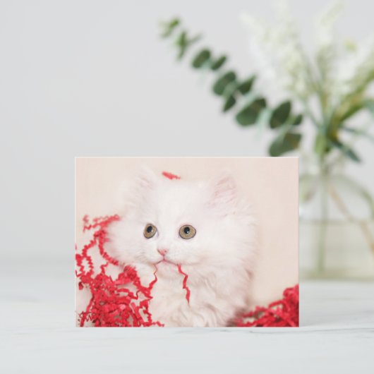 Persisches Kätzchen Feiertagspostkarte (Stehend Vorderseite)