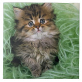 Persisches Kätzchen Fliese (Vorderseite)