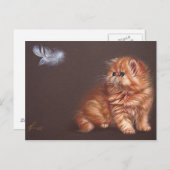 Persisches Kätzchen und Feder Postkarte (Vorne/Hinten)