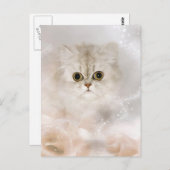 Persisches Kätzchengesicht Postkarte (Vorne/Hinten)