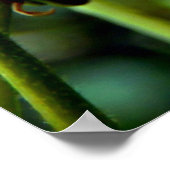 Persisches Seidenbaum-Blume-Poster Poster (Ecke)