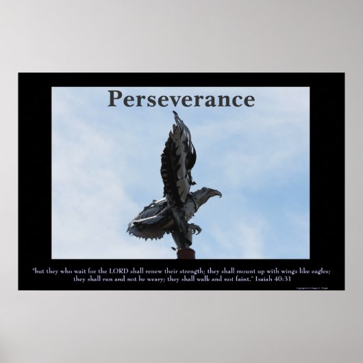Persistent Eagle Sculpture Poster (Vorne)