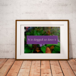 Persistenzweisheit Sprichwort Foto Poster