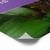 Persistenzweisheit Sprichwort Foto Poster (Ecke)