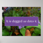 Persistenzweisheit Sprichwort Foto Poster (Vorne)