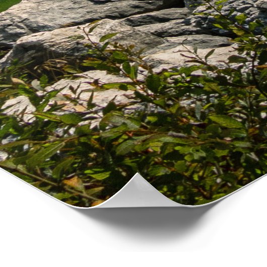 Person am Bergsee Poster (Ecke)