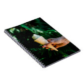 Person, die Eis hält Notizblock (Rechte Seite)