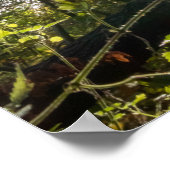 Personal Carpe Diem glänzende farbenfrohe Blätter  Poster (Ecke)