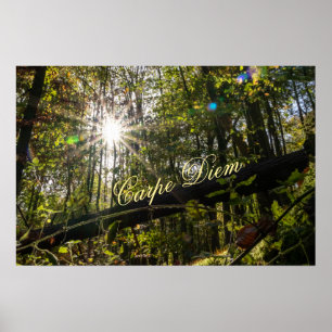 Personal Carpe Diem glänzende farbenfrohe Blätter Poster